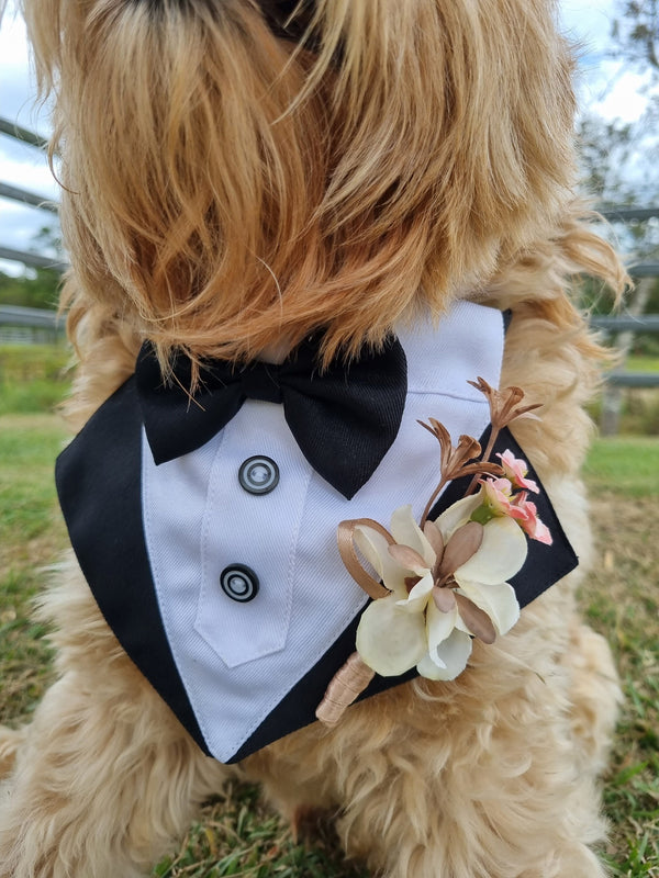 Pet Wedding Black Tuxedo, Black tie event, Special Occasions, Dog, Pet, Formal