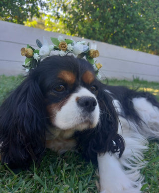 Pet Flower Crown, Wedding, Birthday, Photography, Dog, Rabbit, Flower Wreath