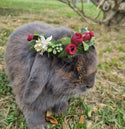 Pet Flower Crown / Wreath