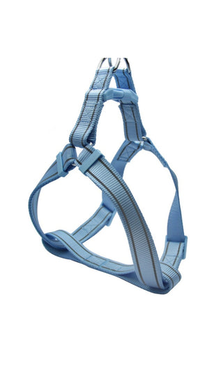 Reflective Step In Harness